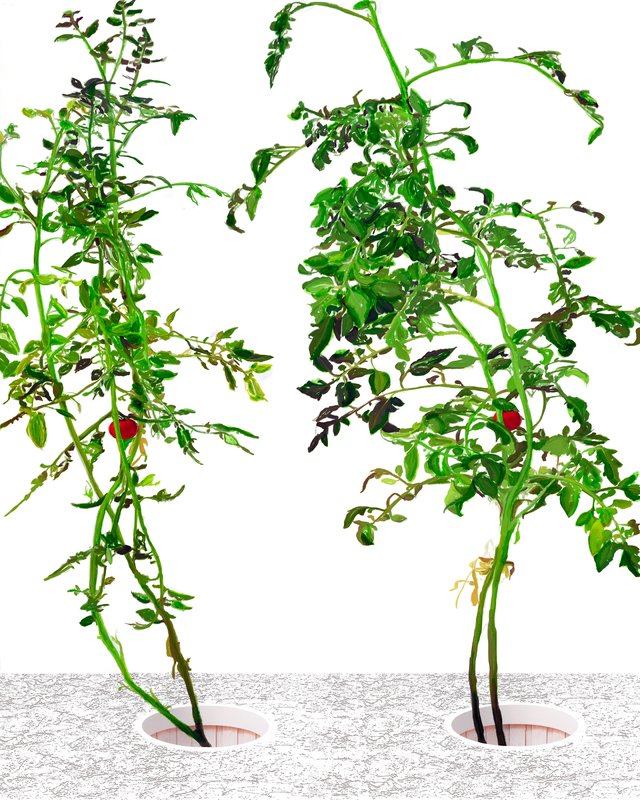 Alex Fischer, Vii, 2015-02-24